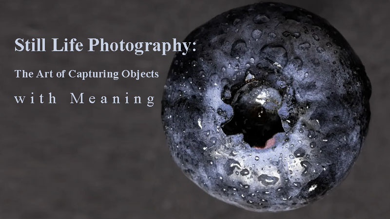 Still Life Photography