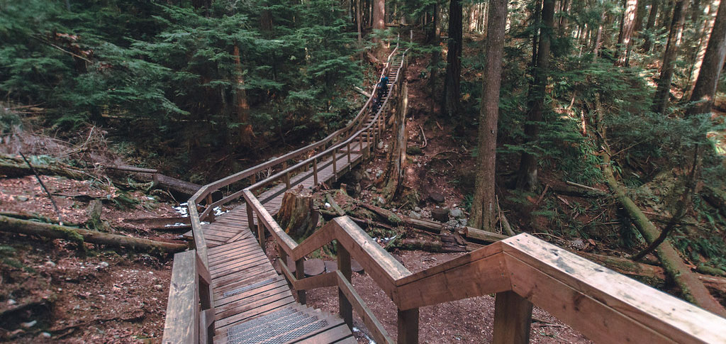 Deep Cove
