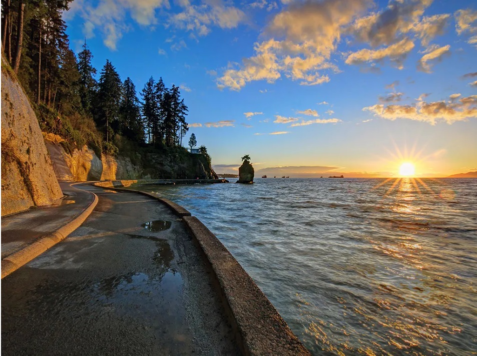 stanley park vancouver mandanarostami